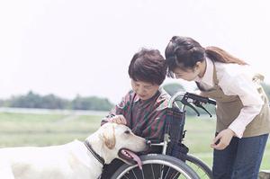 医療に関連する情報を記載します