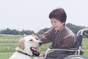 福山市で安心の内視鏡検査が受けられます