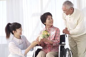 羽島市の地元で信頼できる歯医者を見つけるポイント