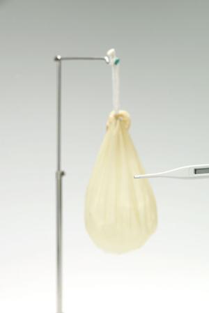 熊本で選ばれる産婦人科のポイント徹底解説！安心・信頼の医療環境と最新の不妊治療情報