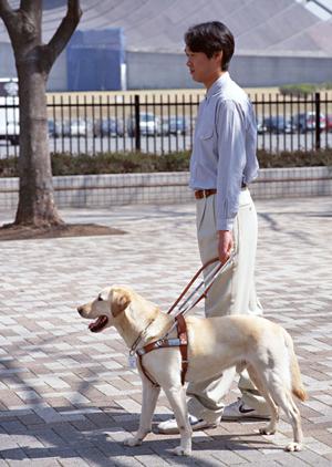 戸田駅の歯科医バリアフリー設計の重要性