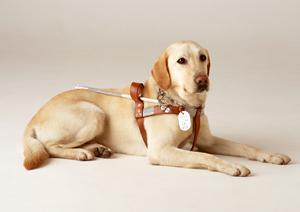 相模原駅から通える予防歯科クリニック