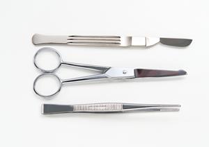 歯の健康を守るための最新テクノロジーを活用する歯医者を板橋で見つけよう