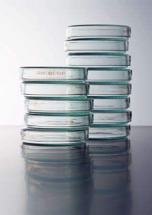 早期治療と予防に心がけるおおぐちこどもクリニック