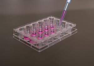 本当に信頼できる内科医が国立市にいる