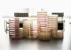 ストレスや不調に悩む方へ！東京で信頼できる精神科クリニックをご紹介