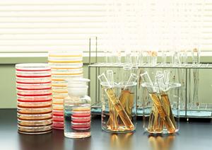 ワキガ・多汗症の治療なら塩崎クリニック